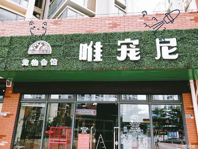  龙华新区观澜宠物店转让