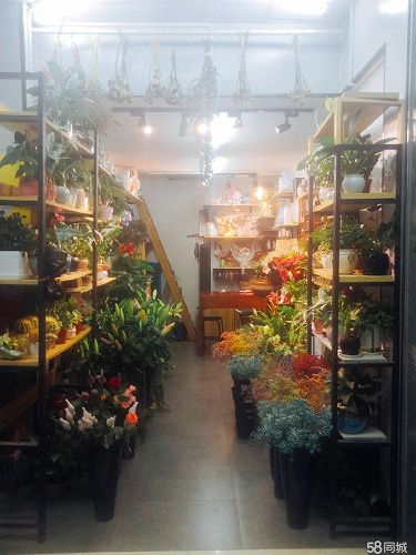 无需装修带货旺铺花店转让