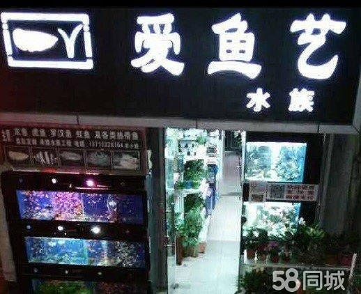  西乡流塘水族馆转让