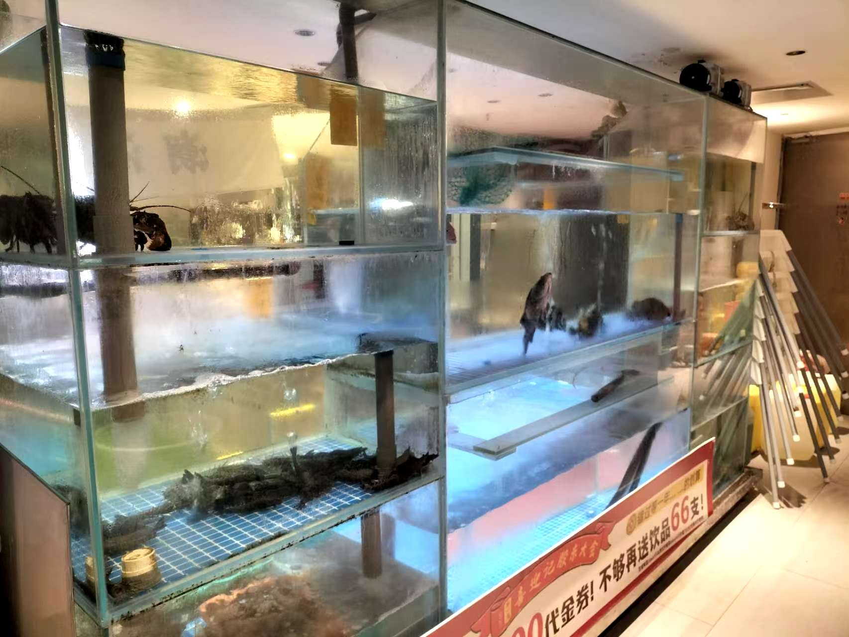 宝安西乡高档海鲜餐厅转让
